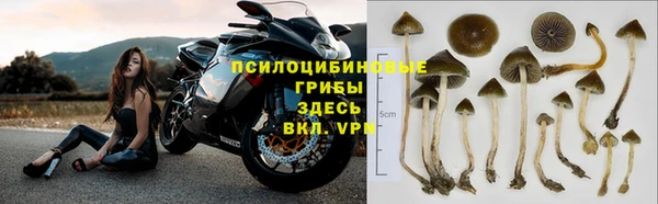 СК Алексеевка