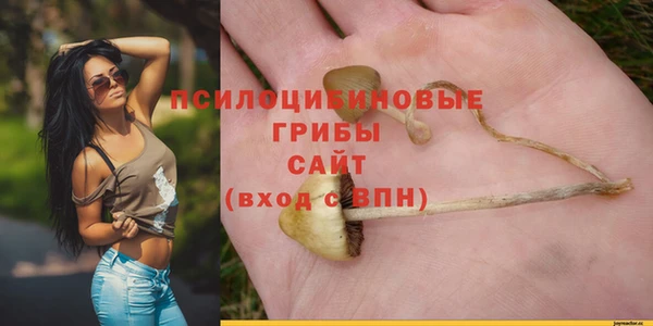 СК Алексеевка