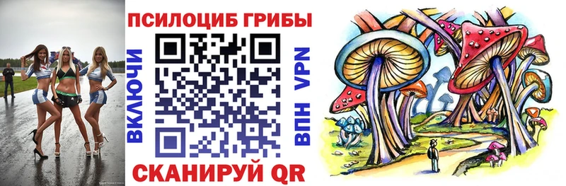 Галлюциногенные грибы мицелий  купить   Неман 